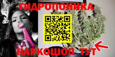 стафф Ярославль